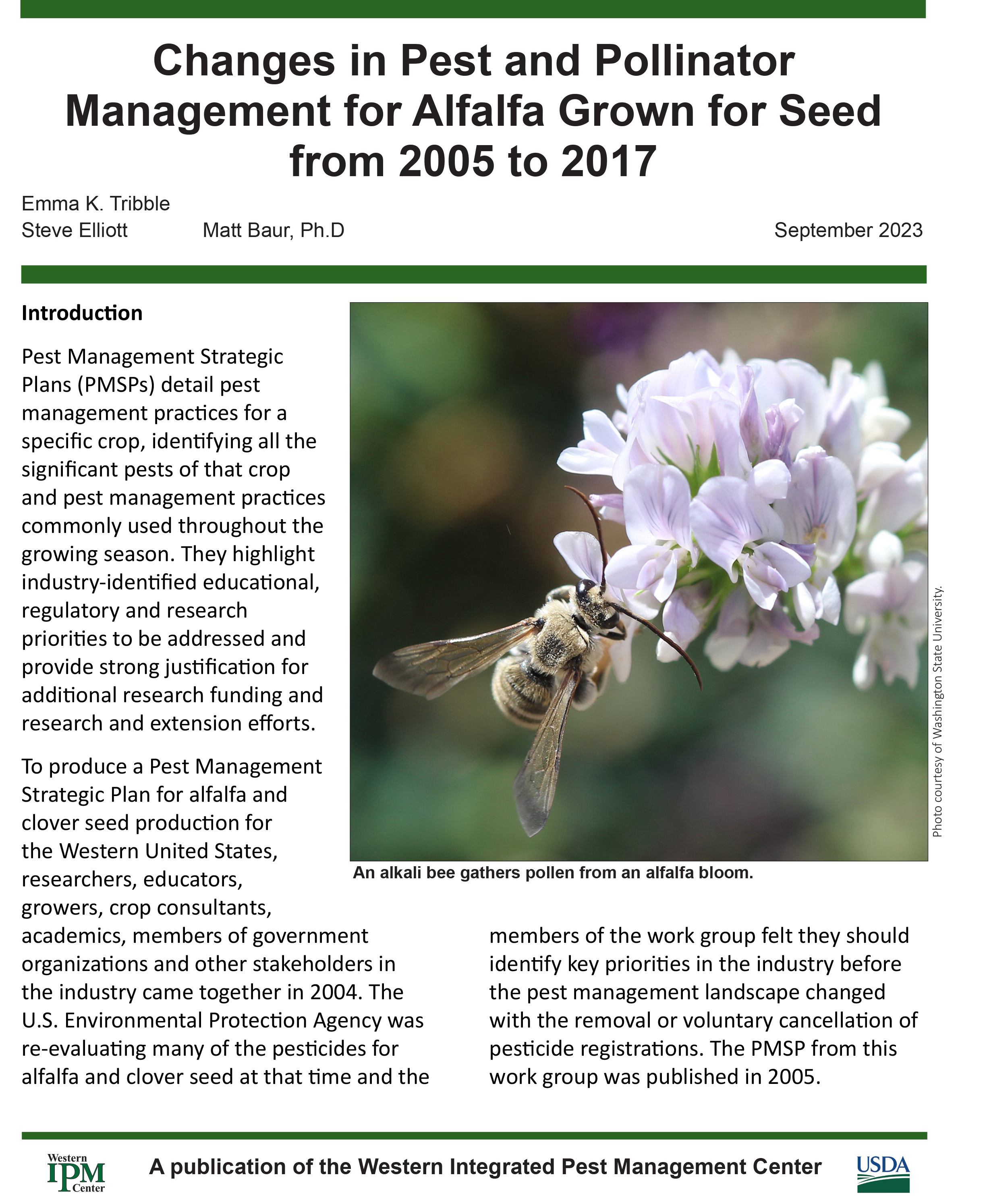 Alfalfa seed report cover