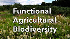 Functional Ag Biodiversity video