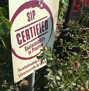 SIP Certified Sign