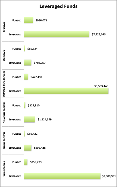 Leveraged funds by category graphic