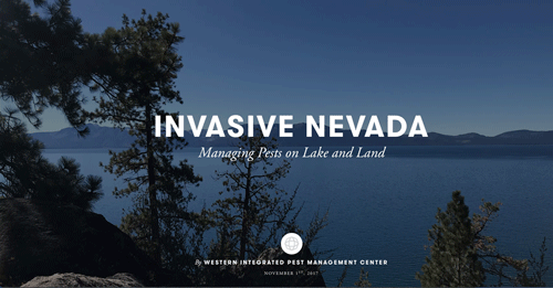 Nevada photo essay