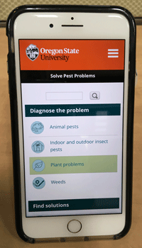 The website displayed on a phone