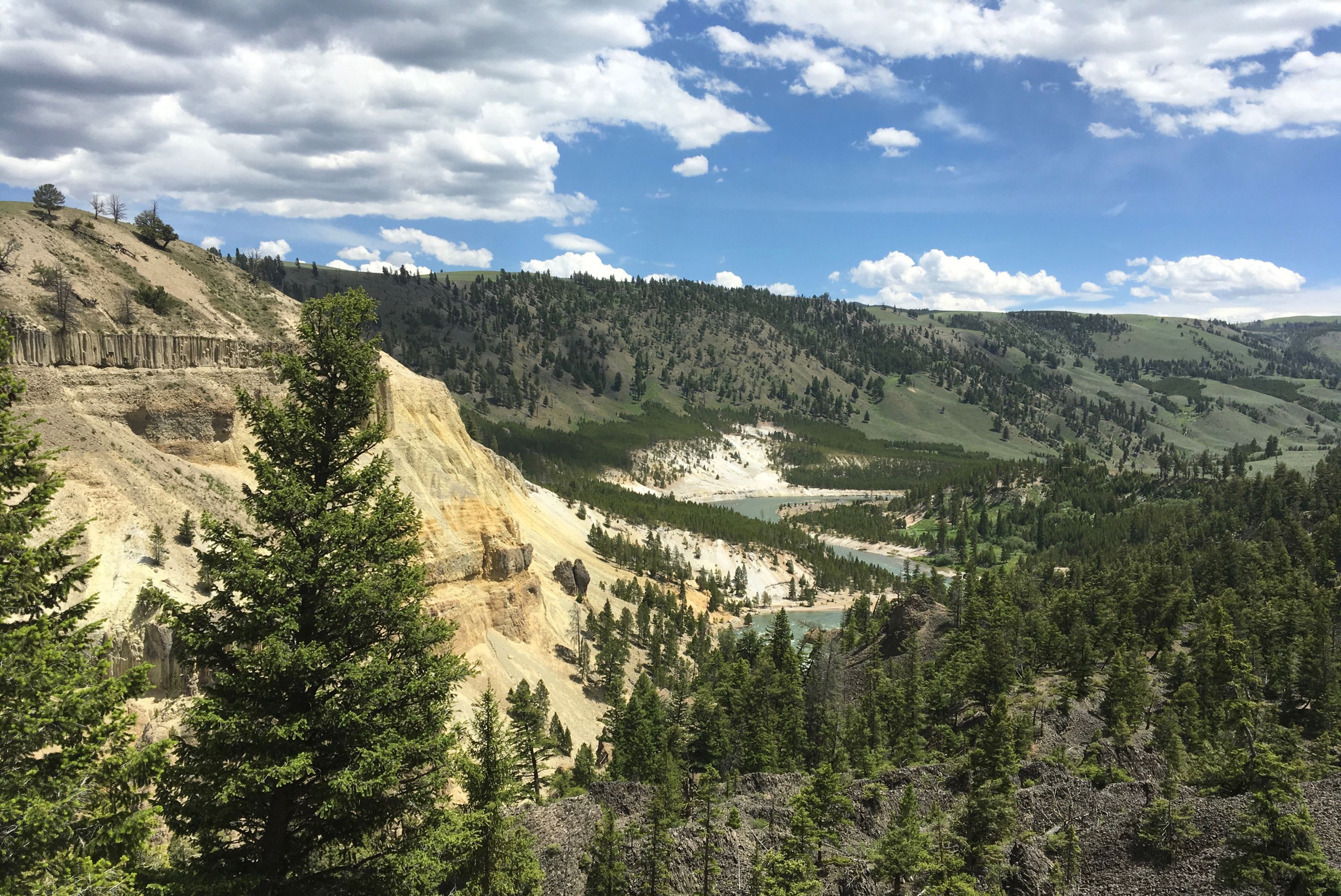 A Yellowstone vista