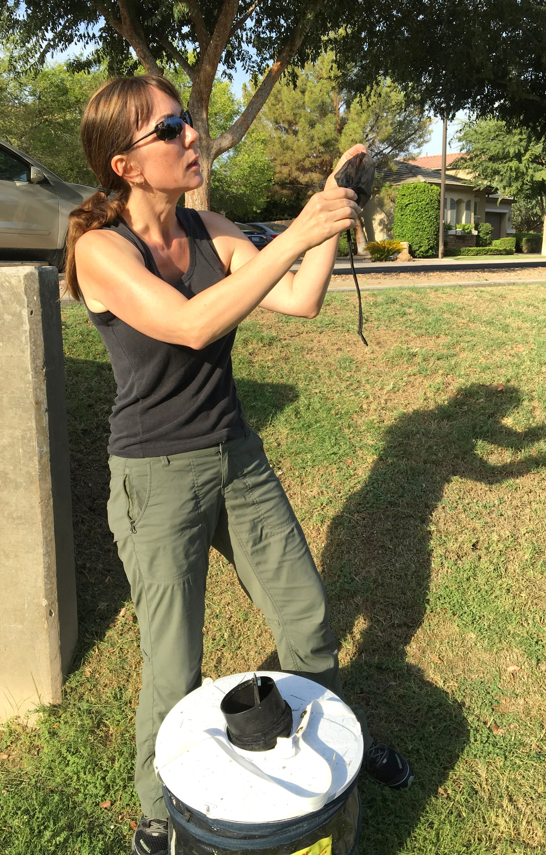 =Dawn Gouge checks mosquito traps