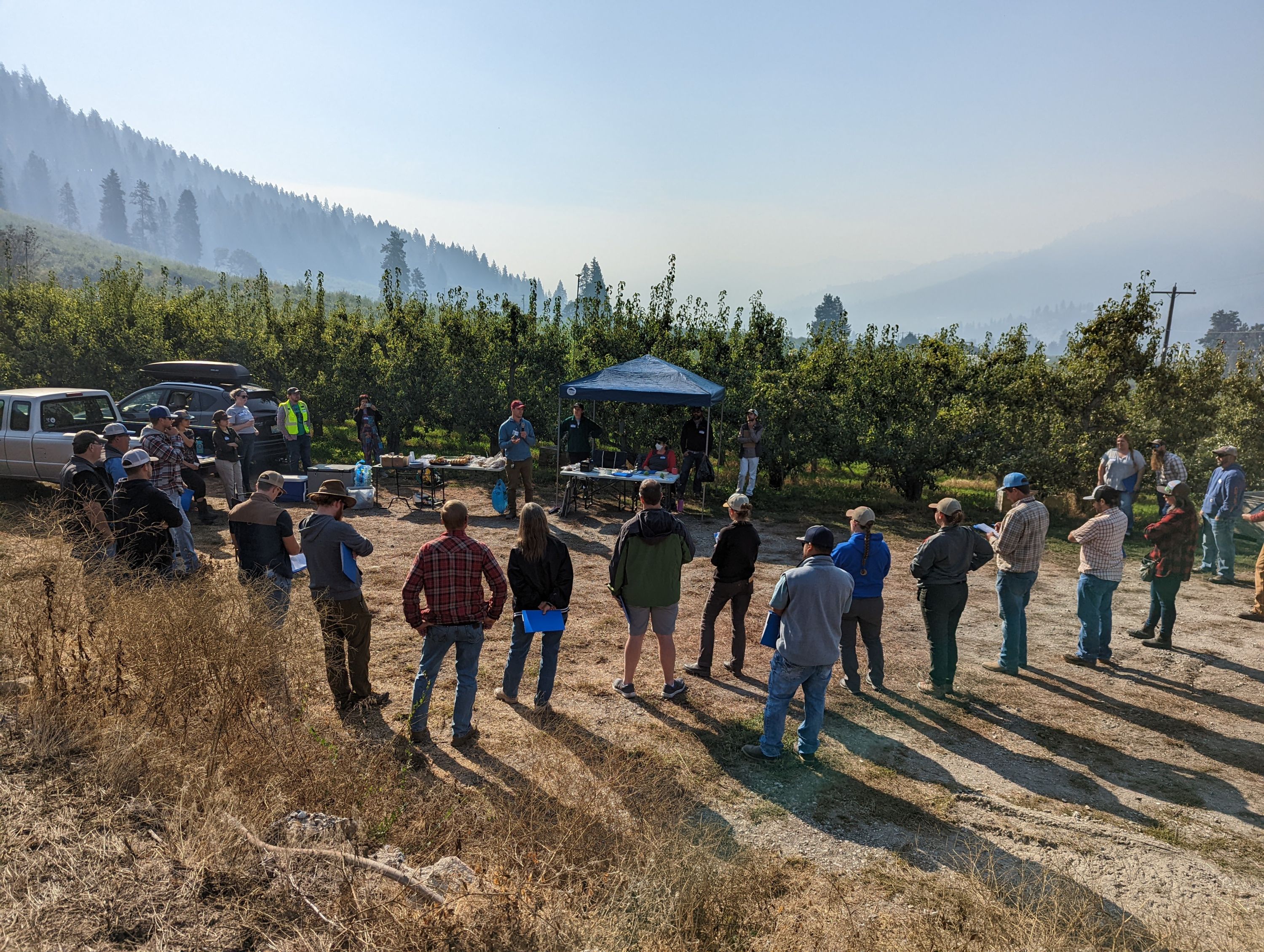 Pear growers at a field day