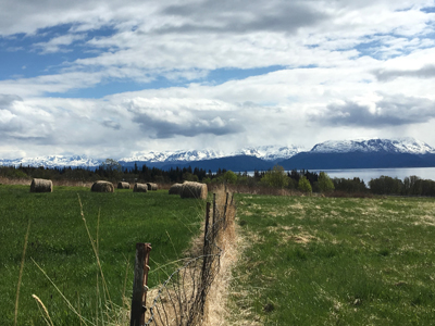 A fence and hay bales in a field with water and snow-capped mountains in the background.