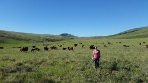 Lauren Smith standing in front of cows in a grassland.