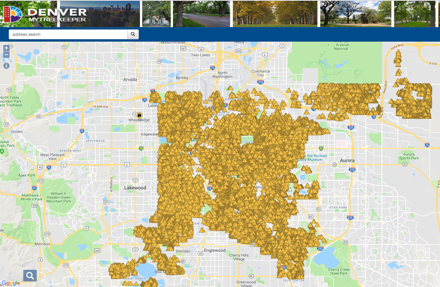 A map of Denver covered with many overlapping triangles, each symbolizing an ash tree.