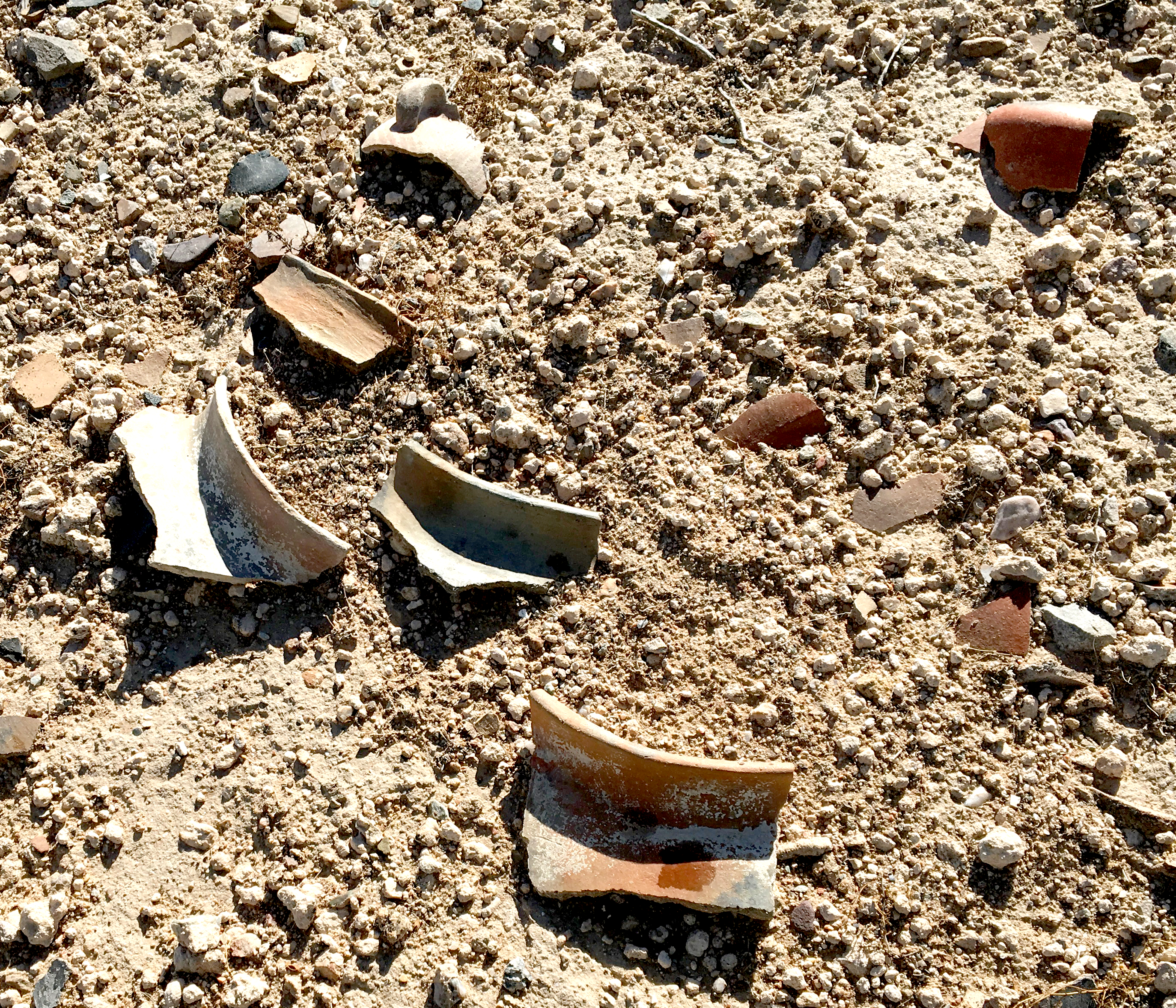 Shards of pottery on the desert floor.