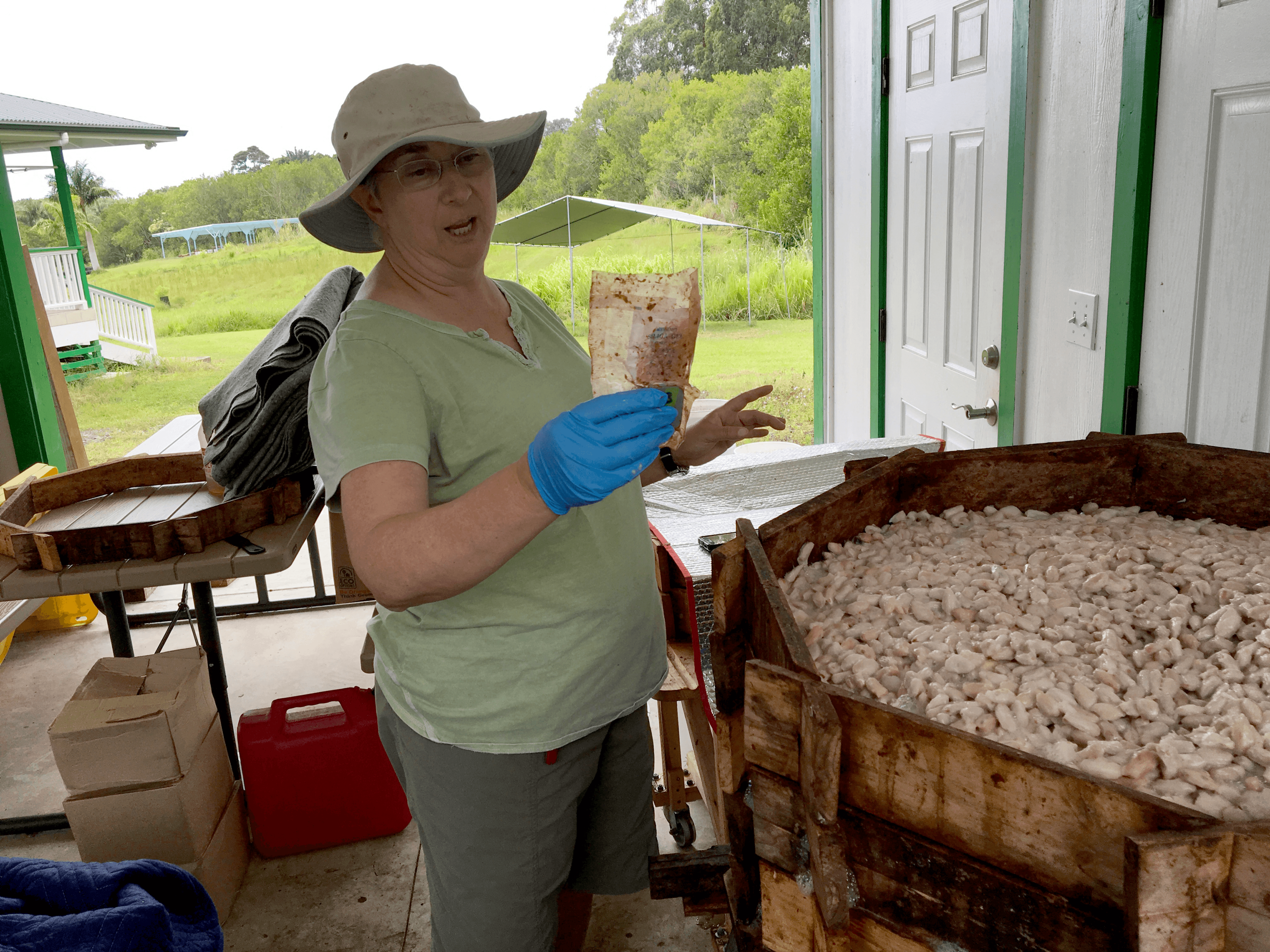 Susan Bassett fermenting cacao in a large vat.