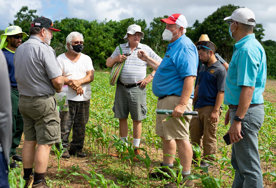 A group of people standing in a field.