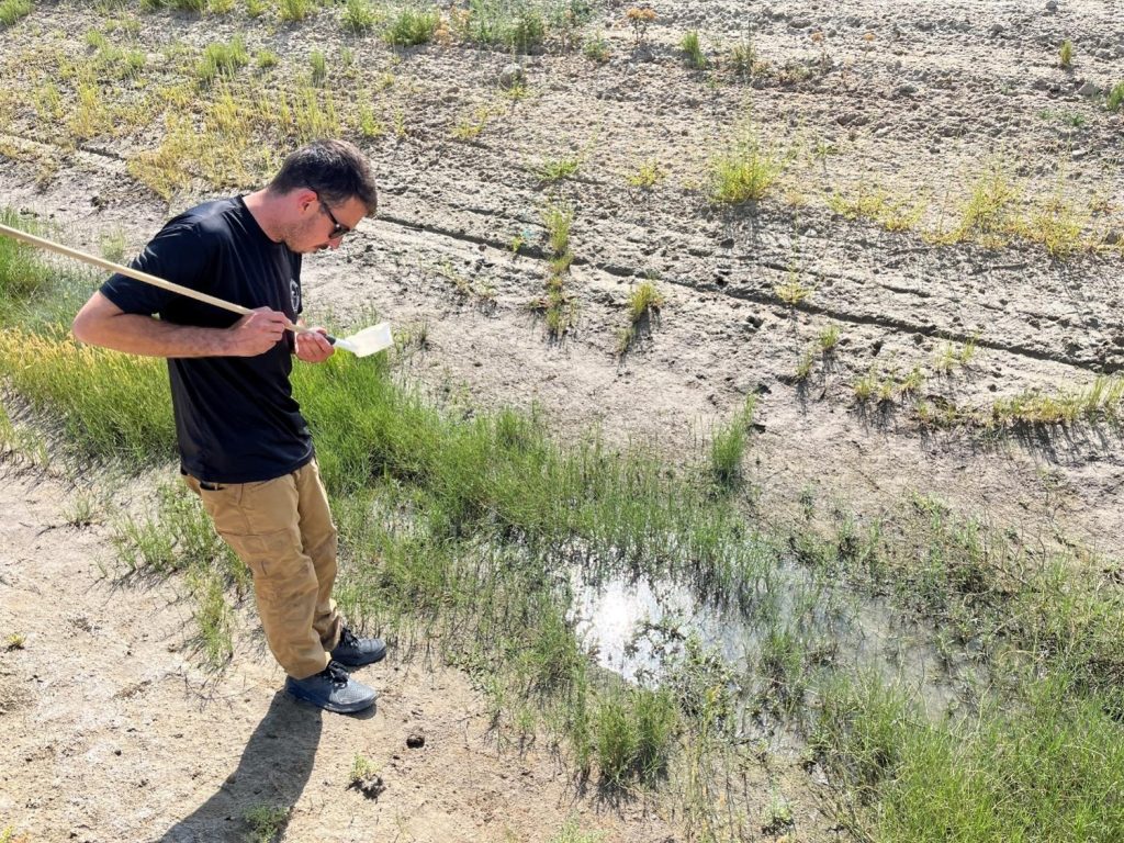 Quinten "Q" Salt checks a dipper cup next to a a patch of water surrounded by green plants.