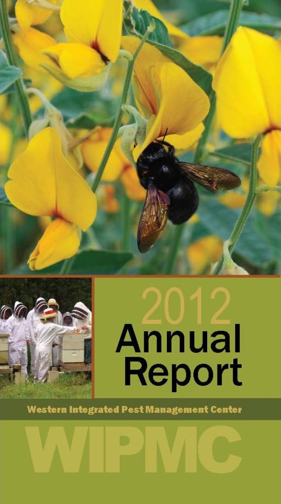 The cover of the 2012 annual report showing a black bee on a yellow flower