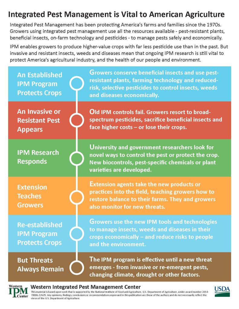 The IPM Infographic