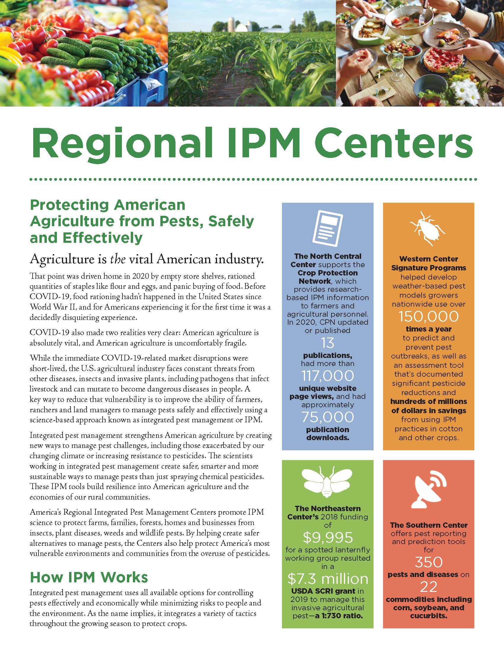 The first page of the Regional IPM Centers flyer