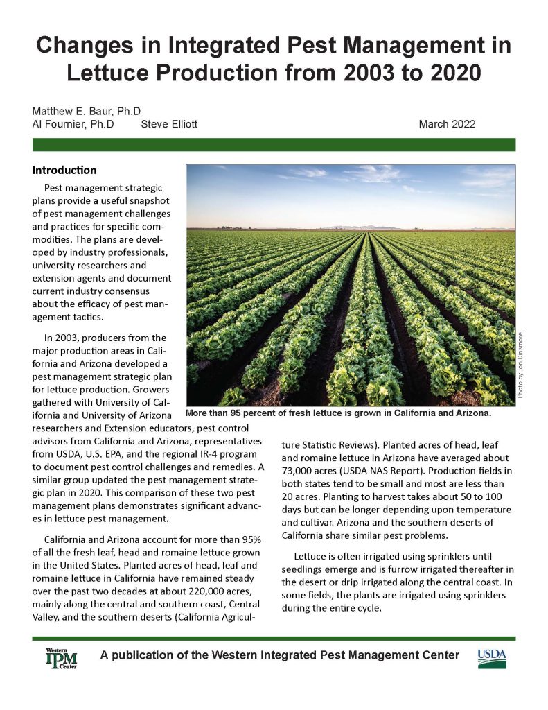 The front cover of the lettuce report