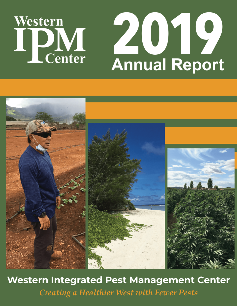The cover of the 2019 annual report.