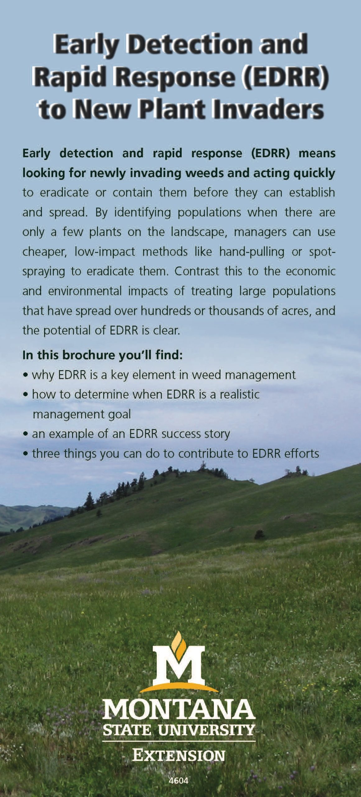 The front page of a brochure titled "Early Detection and Rapid Response (EDRR) for New Plant Invaders."