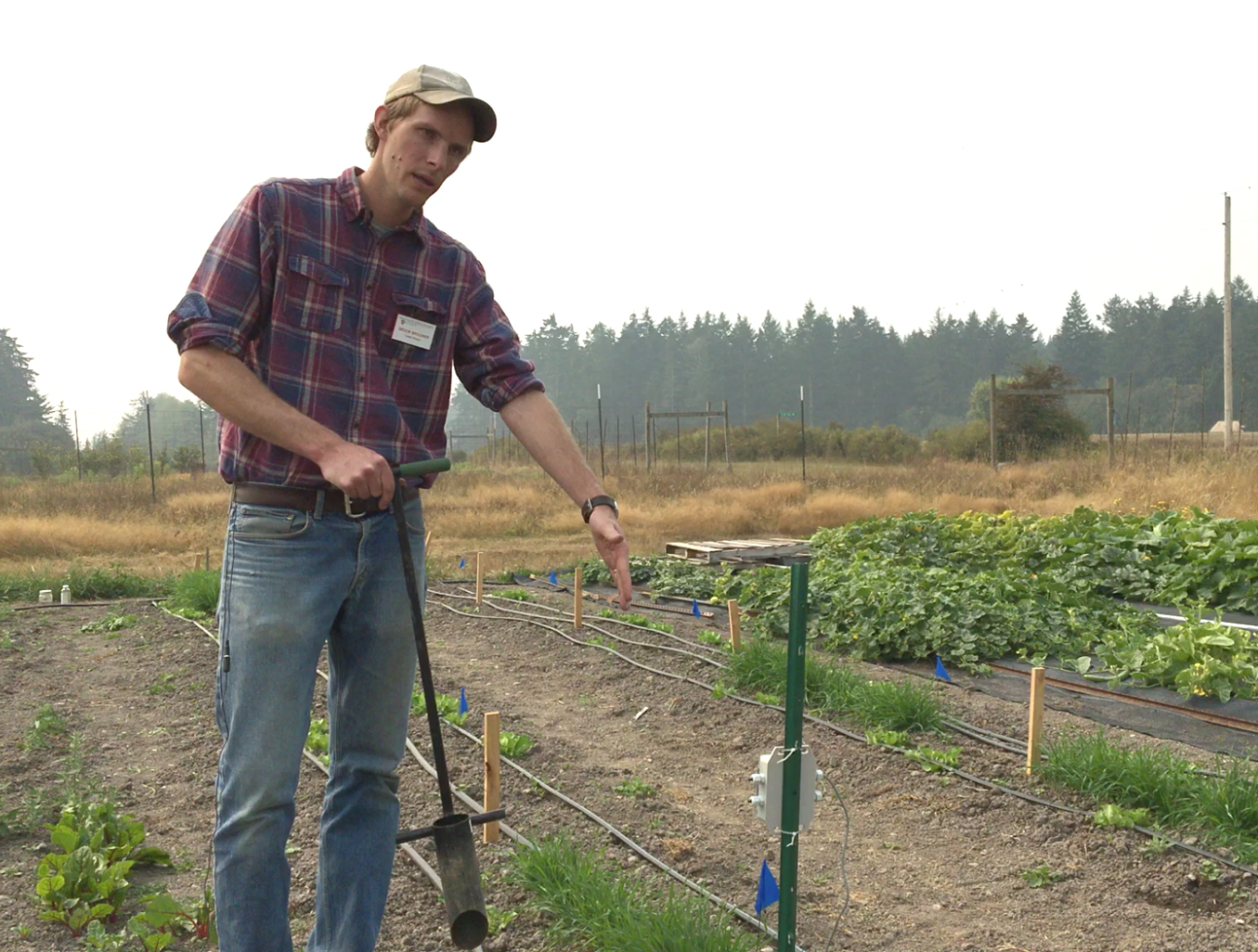 Brook Brouwer stands in a vegetable field.