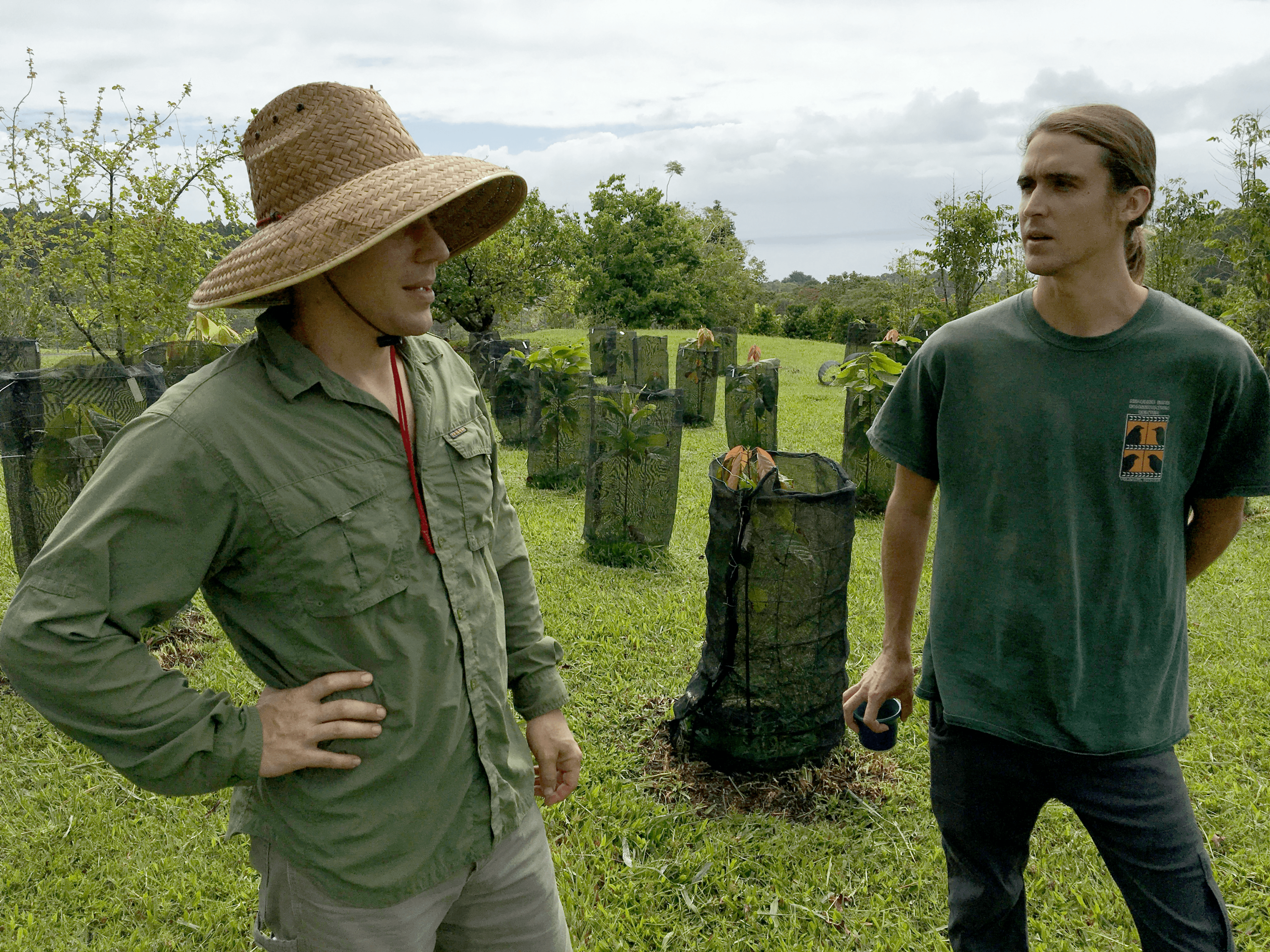 Dave Elliott and Colin Hart stand in front of caged young cacao trees.