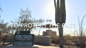 A sign for Casa Grande National Monument in the desert with a tall cactus next to it. On top of the picture are the words, "Using IPM to Protect the Past."