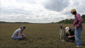 Cranberry grower Mike Haines sits in a cranberry bog in front of a camera on a short tripod. Two other men operate the camera.