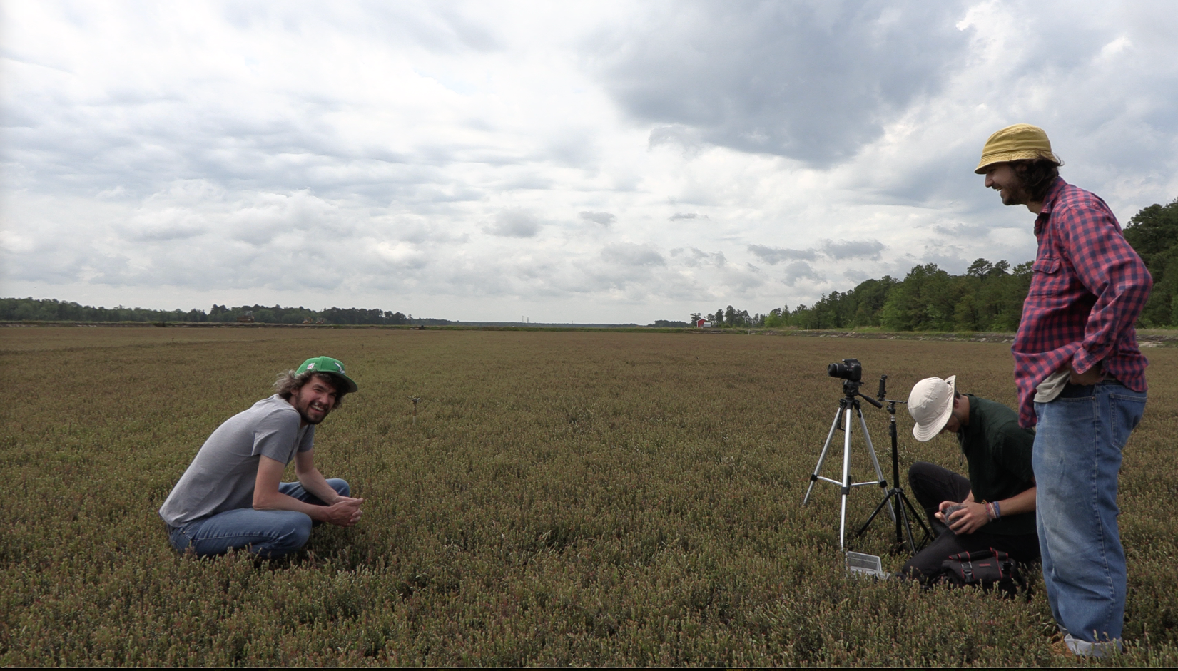 Cranberry grower Mike Haines sits in a cranberry bog in front of a camera on a short tripod. Two other men operate the camera.