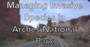 A blurred picture of a road in Arches National Park. The words "Managing Invasive Species in Arches National Park" are on top of the picture.