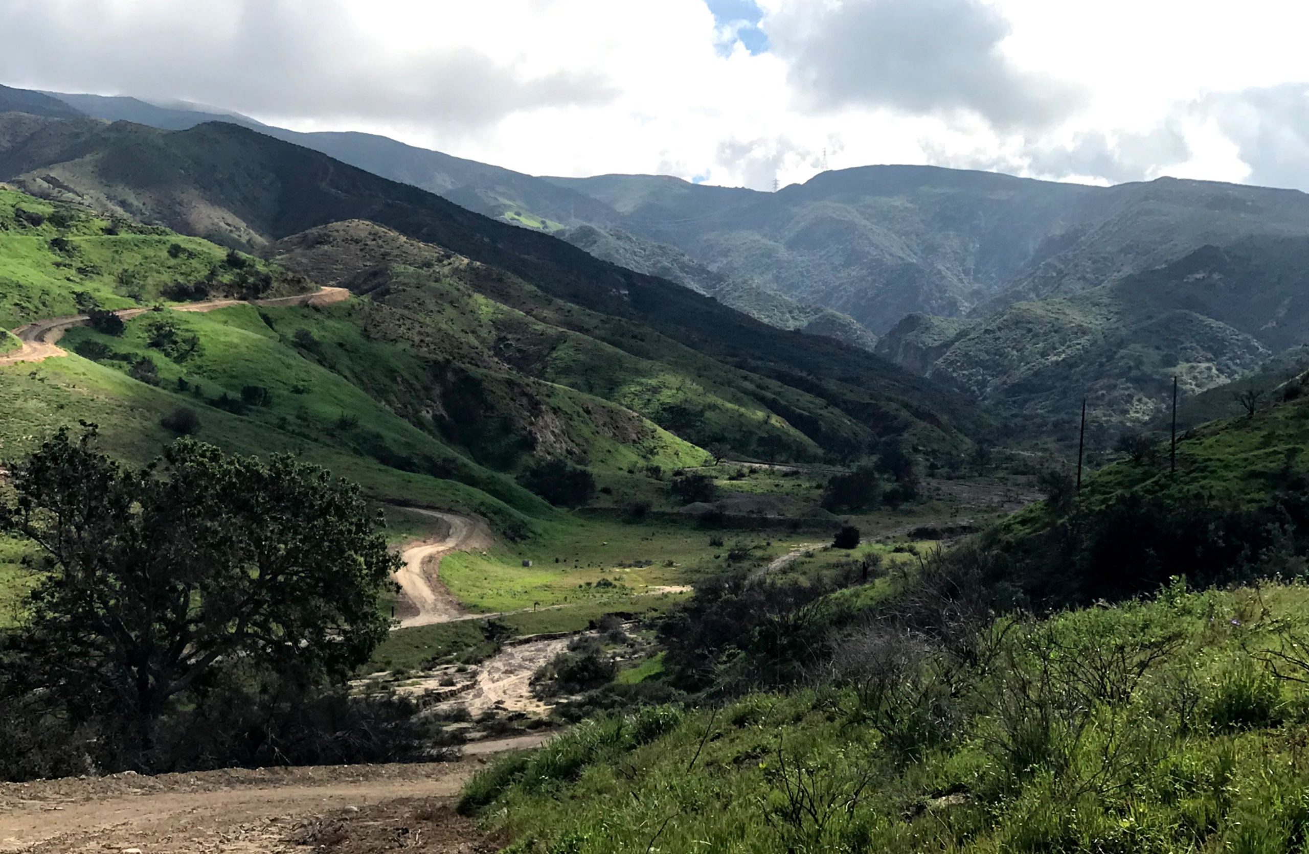 A canyon in Chino Hills State Park with vegetation, hills and some trees.