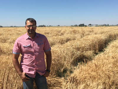 Arash Rashed standing in front of a dry field.