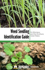 The front page of the guide, titled "Weed Seedling Identification Guide for Montana and the Northern Great Plains" and with pictures of two weed species.
