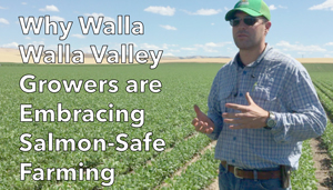 a shot from the video of Nathan Rea talking in front of a field with the words "Why Walla Walla Valley Growers are Embracing Salmon-Safe Farming" on top.
