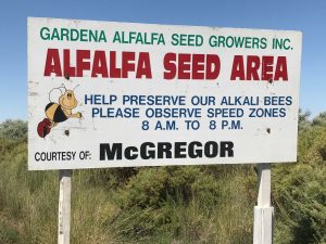 A sign marking the area as an alfalfa seed area and asking driver to observe speed zones 8 AM to 8 PM.