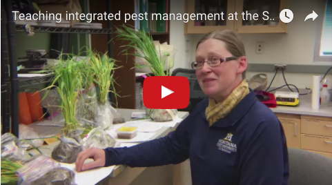 The thumbnail of the YouTube video showing Mary Burrows in the Schutter Diagnostic Lab with plants.