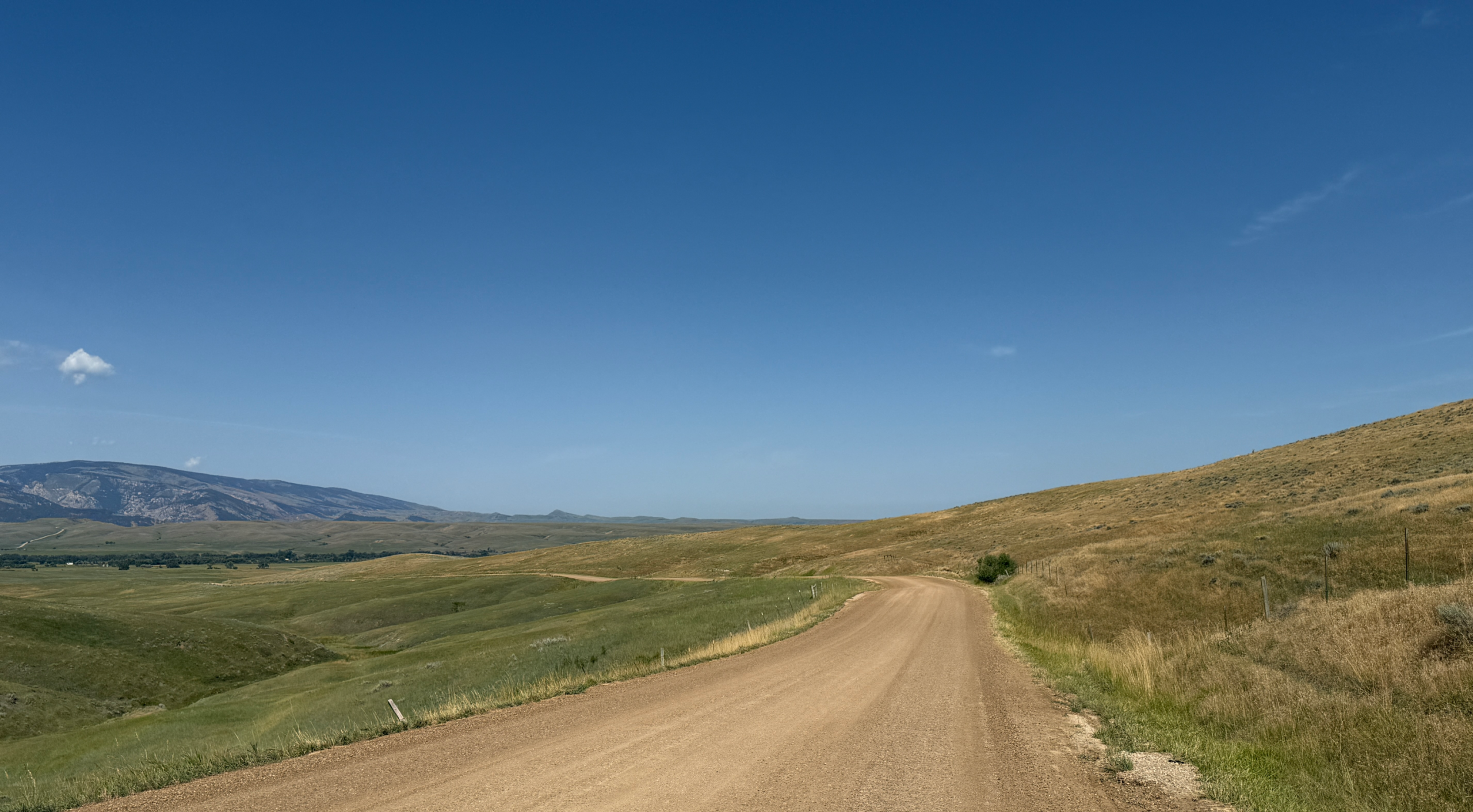 A dirt road with green vegetation on the left and dry invasive grasses on the right.