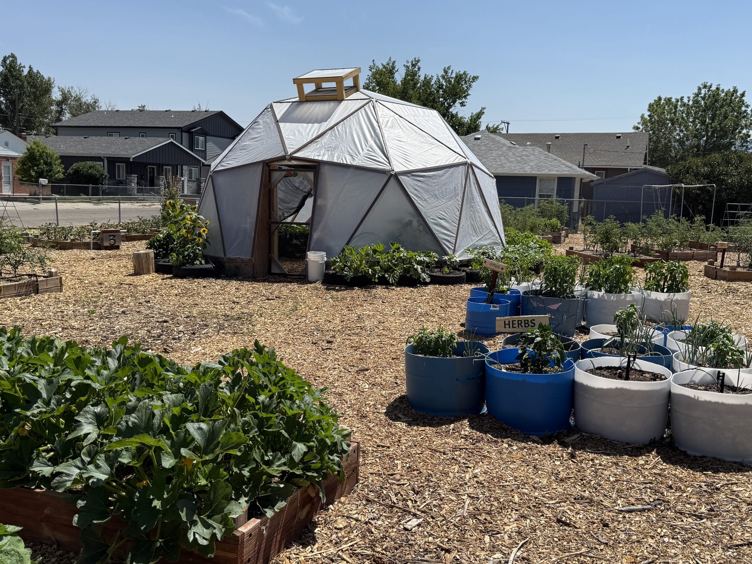 A geodesic dome for growing food, surrounded by plants growing in raised beds and large pots, with buildings in the background.
